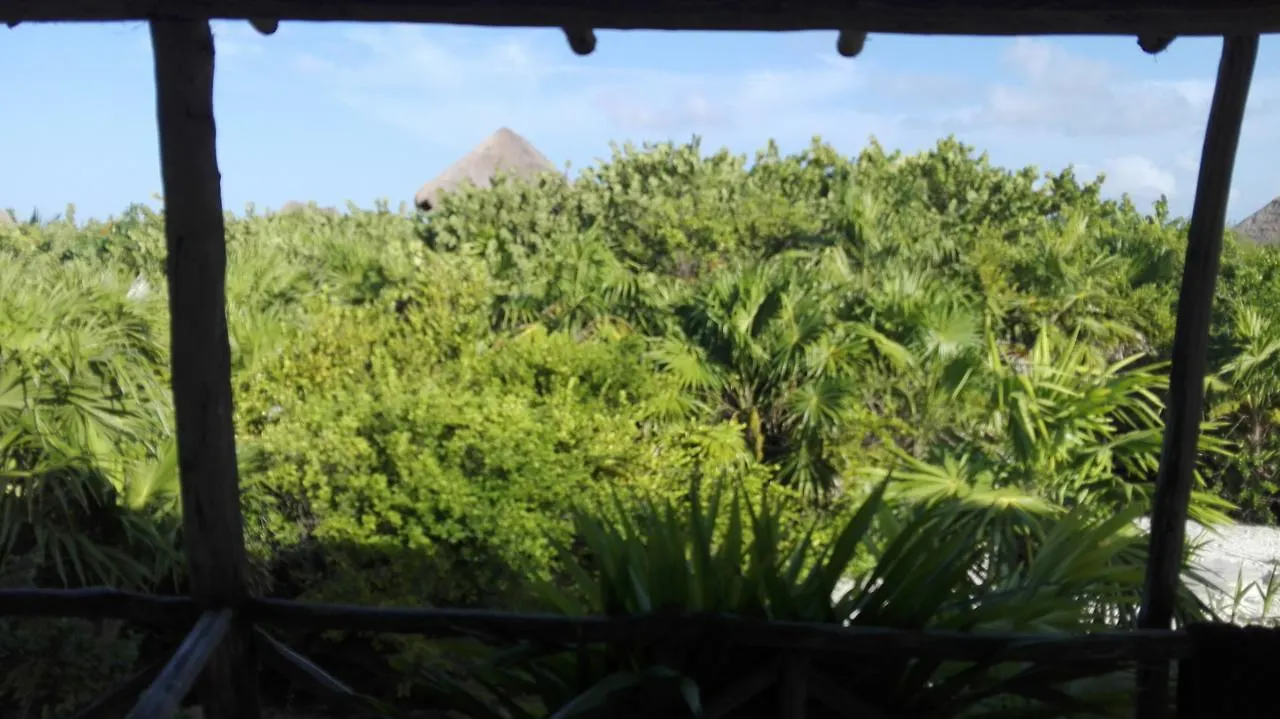 Eco Lodge Hotel Villa Tulum 0*,  Mexico