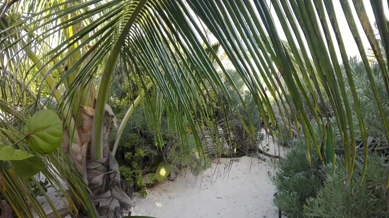 Eco Lodge Hotel Villa Tulum Mexico