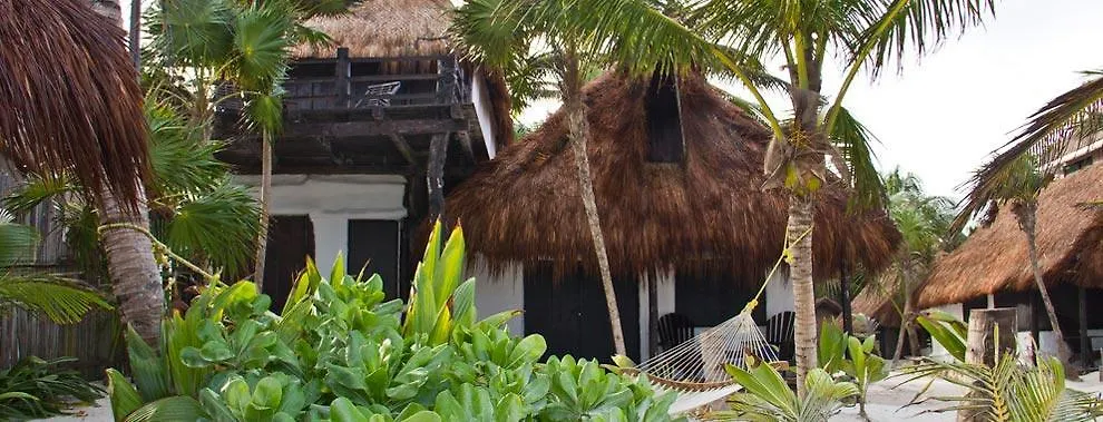 Eco Lodge Hotel Villa Tulum